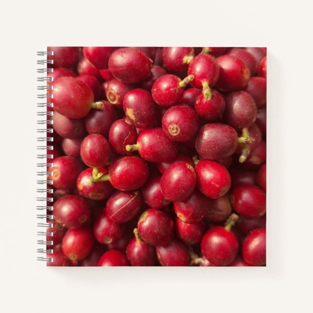 Fresh, ripe red coffee cherries notebook (Front)