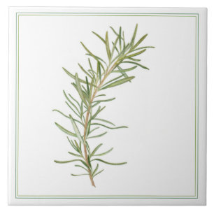 FRESH ROSEMARY 6x6 Ceramic Tile (-text)