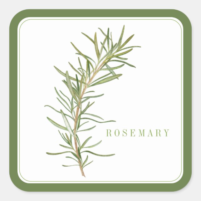 FRESH ROSEMARY Large Square Stickers - Green (Front)