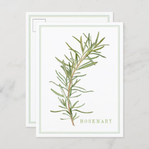 FRESH ROSEMARY Postcard