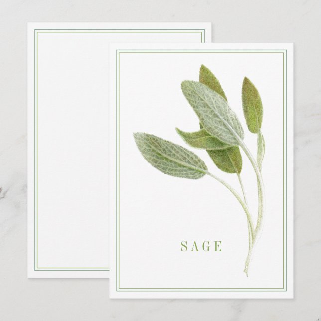 FRESH SAGE 4.5x6.25 Flat Card (Front/Back)