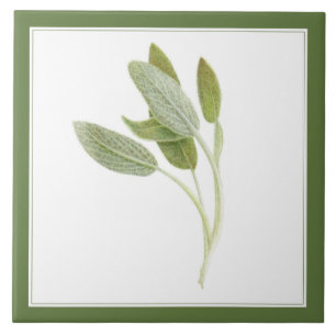 FRESH SAGE 6"x6" Ceramic Tile (-text) Green