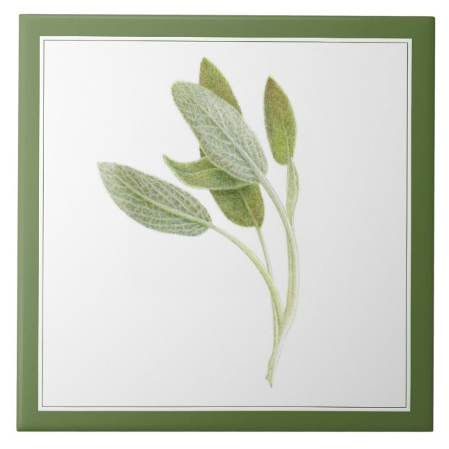 FRESH SAGE 6"x6" Ceramic Tile (-text) Green (Front)