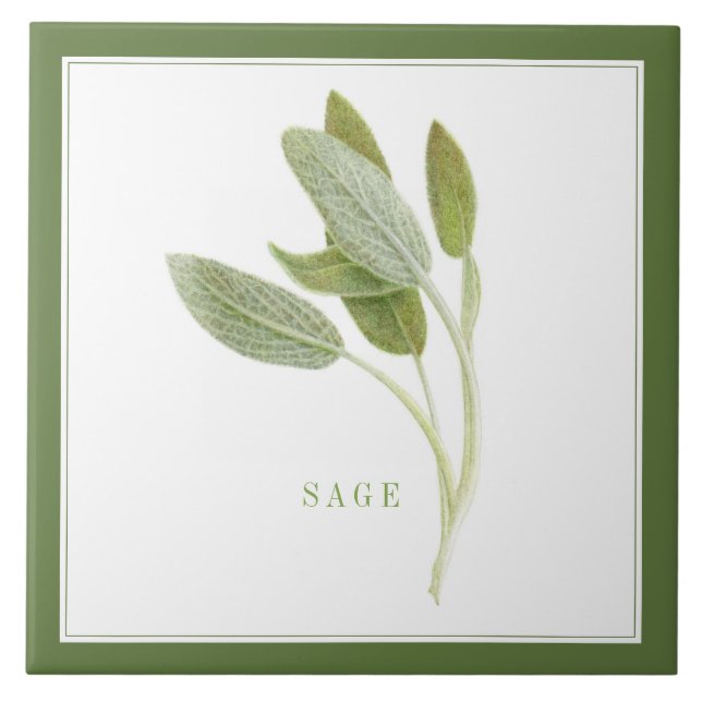FRESH SAGE 6"x6" Ceramic Tile (+text) Green (Front)