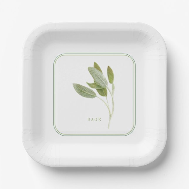 FRESH SAGE 7" Square Paper Plates (Front)