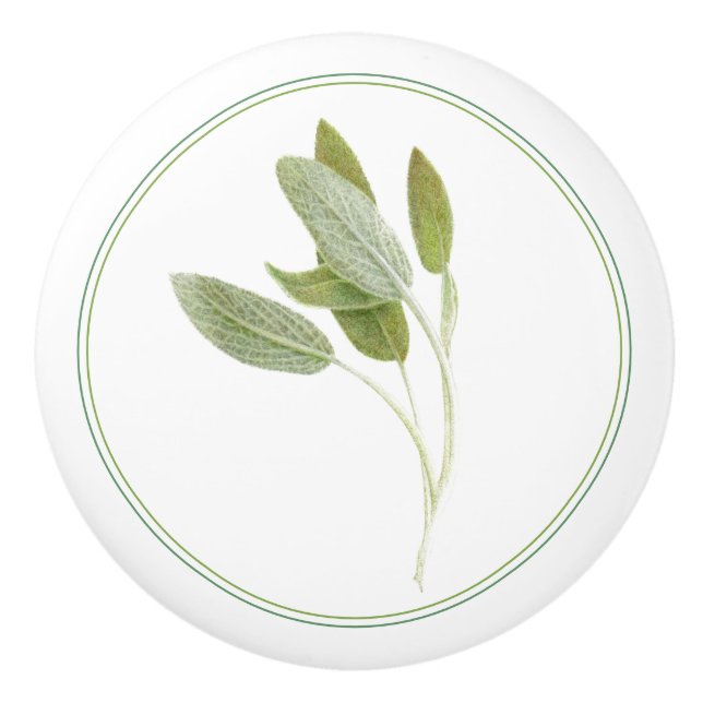 FRESH SAGE Ceramic Knob (Front)