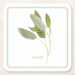 FRESH SAGE Square Paper Coasters (+text)