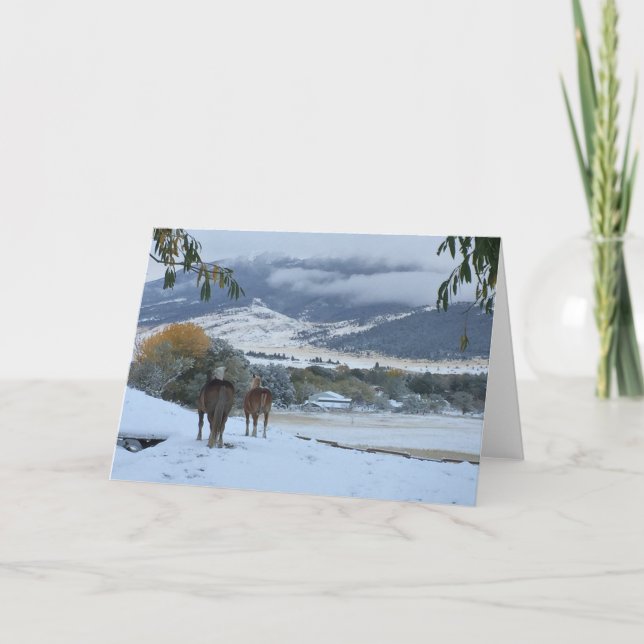 Fresh Snow Horses Holiday Card (Front)