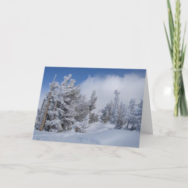 Fresh Snow on Mammoth Mountain Holiday Card (Front)
