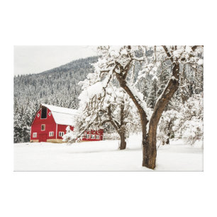 Fresh snow on red barn canvas print