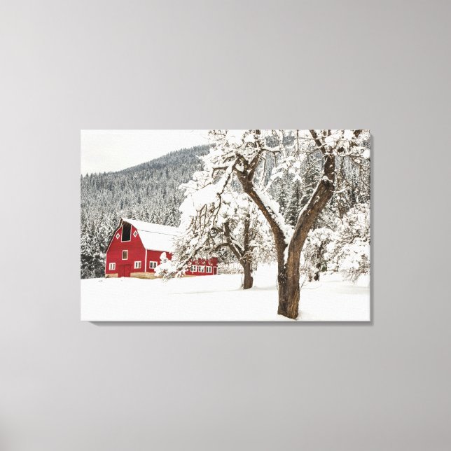 Fresh snow on red barn canvas print (Front)