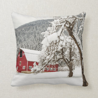 Fresh snow on red barn cushion
