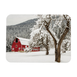 Fresh snow on red barn magnet