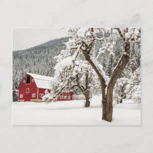 Fresh snow on red barn postcard