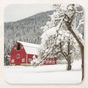 Fresh snow on red barn square paper coaster