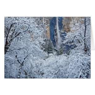 Fresh snowfall in the trees below Bridalveil