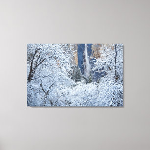 Fresh snowfall in the trees below Bridalveil Canvas Print