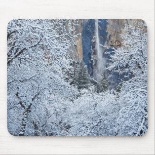 Fresh snowfall in the trees below Bridalveil Mouse Mat