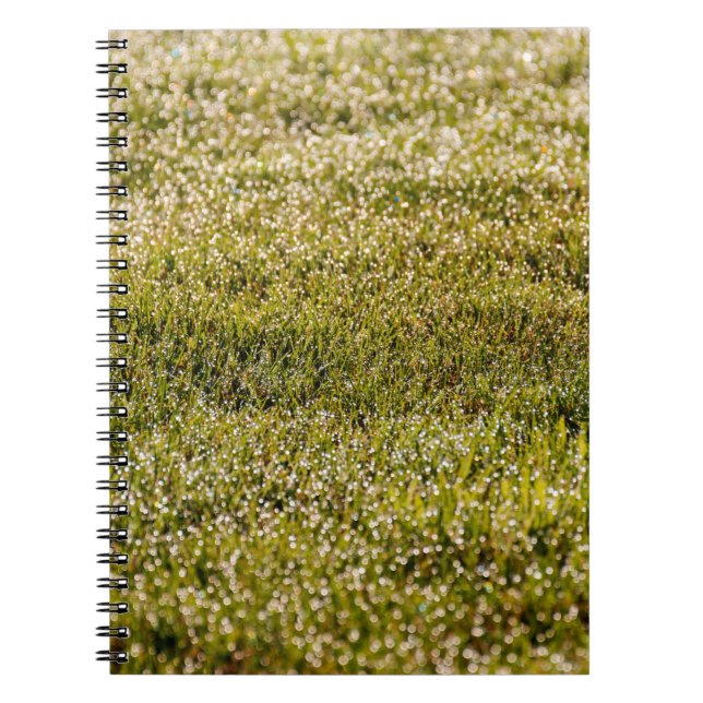 Fresh spring green grass background, with bokeh ef notebook (Front)