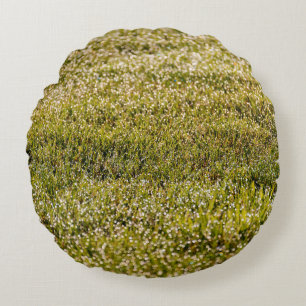Fresh spring green grass background, with bokeh ef round cushion