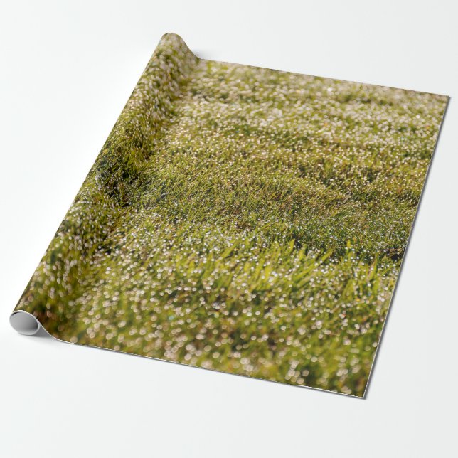 Fresh spring green grass background, with bokeh ef wrapping paper (Unrolled)