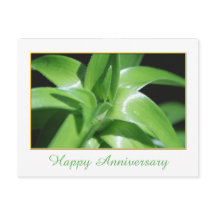 Fresh spring green lily leaves happy anniversary