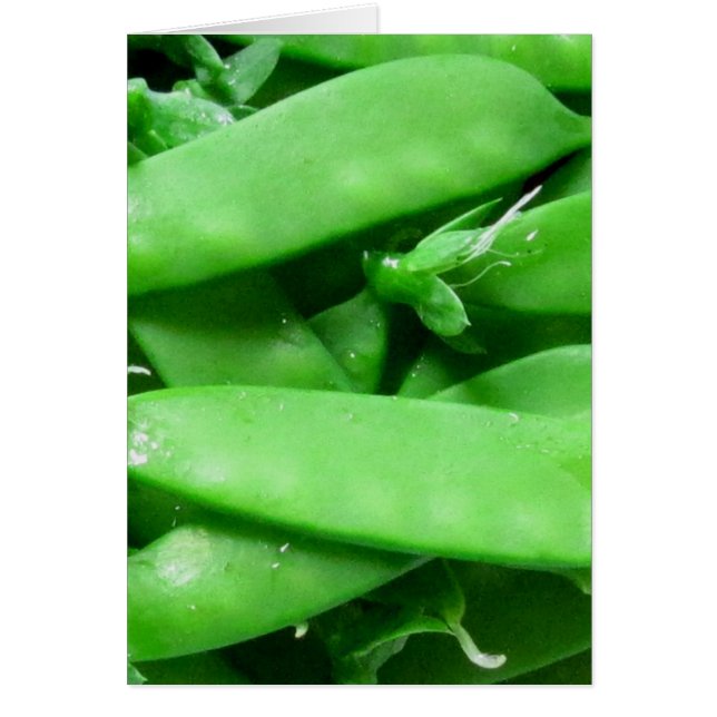 Fresh Spring Peas (Front)