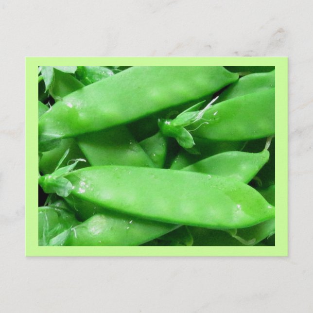 Fresh Spring Peas Postcard (Front)