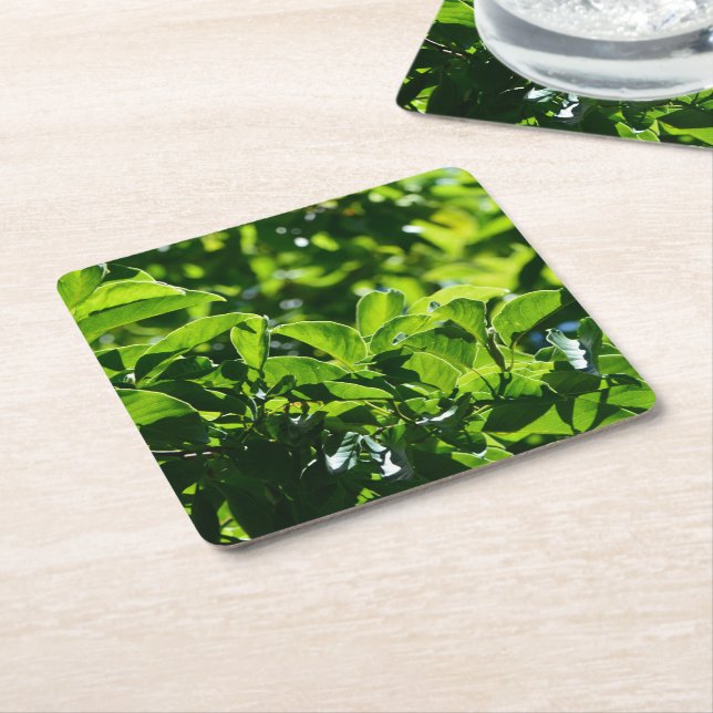 fresh spring, summer green leaves paper coaster. square paper coaster (Angled)