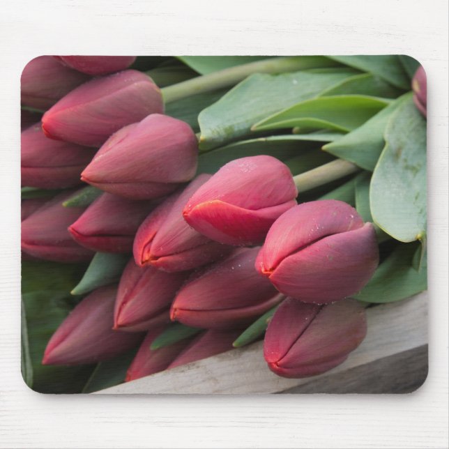 Fresh Spring Tulips Mouse Mat (Front)
