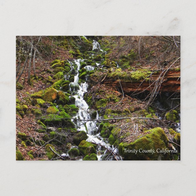 Fresh spring water.... postcard (Front)