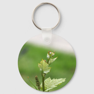 Fresh sprouts of grape vine key ring