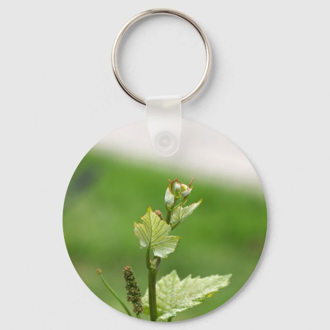 Fresh sprouts of grape vine key ring (Front)