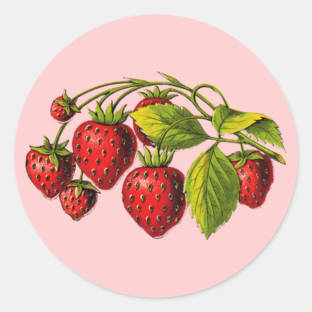 Fresh Strawberries Classic Round Sticker (Front)