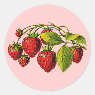 Fresh Strawberries Classic Round Sticker