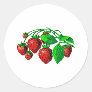 Fresh Strawberries Classic Round Sticker