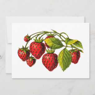 Fresh Strawberries Invitation