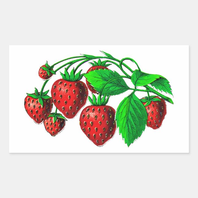 Fresh Strawberries Rectangular Sticker (Front)