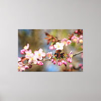Fresh Sunlit Sakura Flowers And Purple Buds