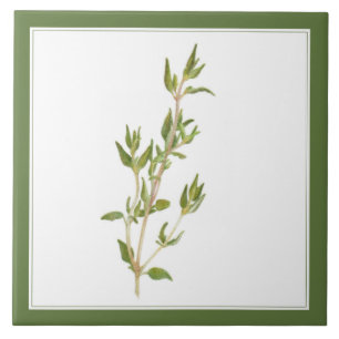 FRESH THYME 6x6 Ceramic Tile (-text) Green