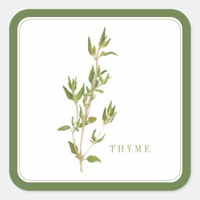 FRESH THYME Large Square Stickers - Green (Front)