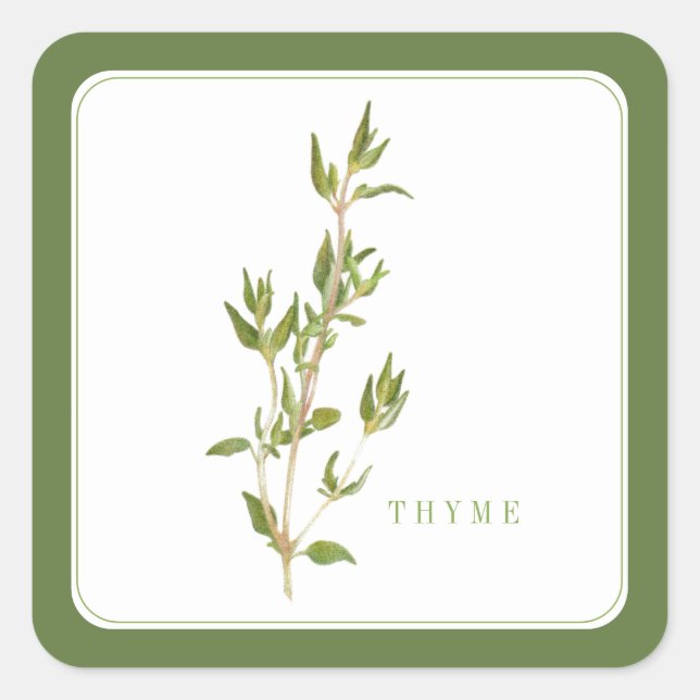 FRESH THYME Small Square Stickers - Green (Front)