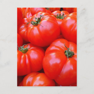 fresh tomatoes postcard