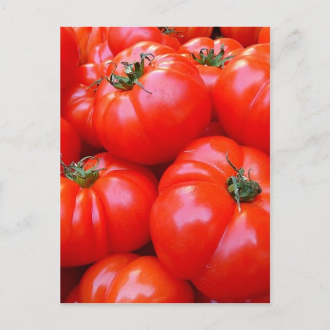 fresh tomatoes postcard (Front)