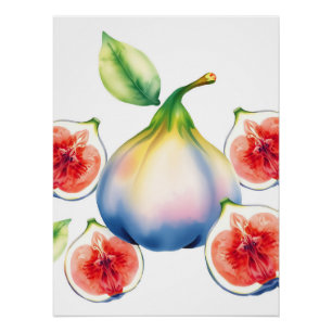 Fresh Watercolor Fig with Soft White Poster