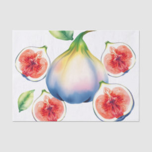Fresh Watercolor Fig with Soft White Tissue Paper