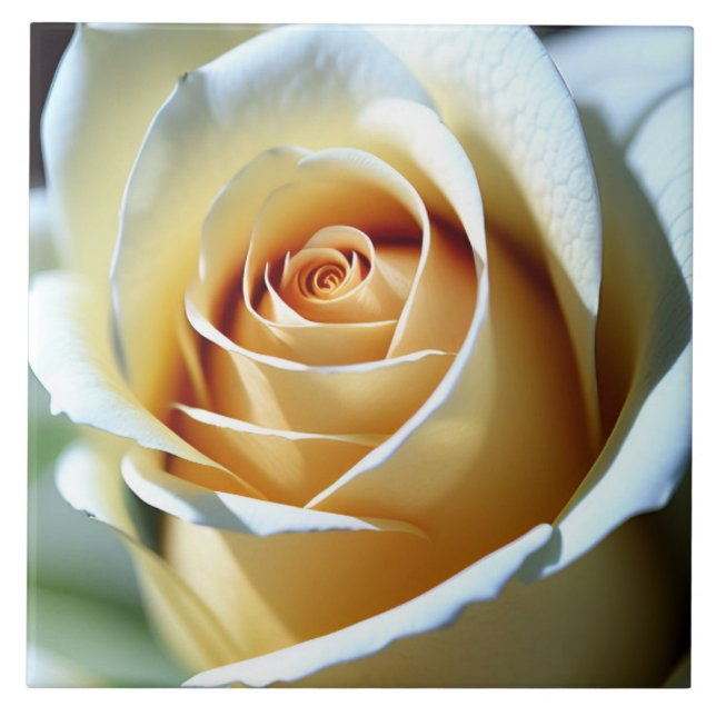 Fresh White Rose Tile (Front)