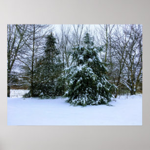 Fresh Winter Snow Poster