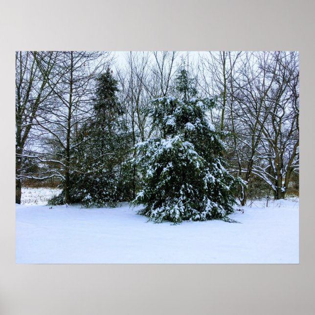 Fresh Winter Snow Poster (Front)