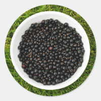 Freshly Picked Blackcurrants